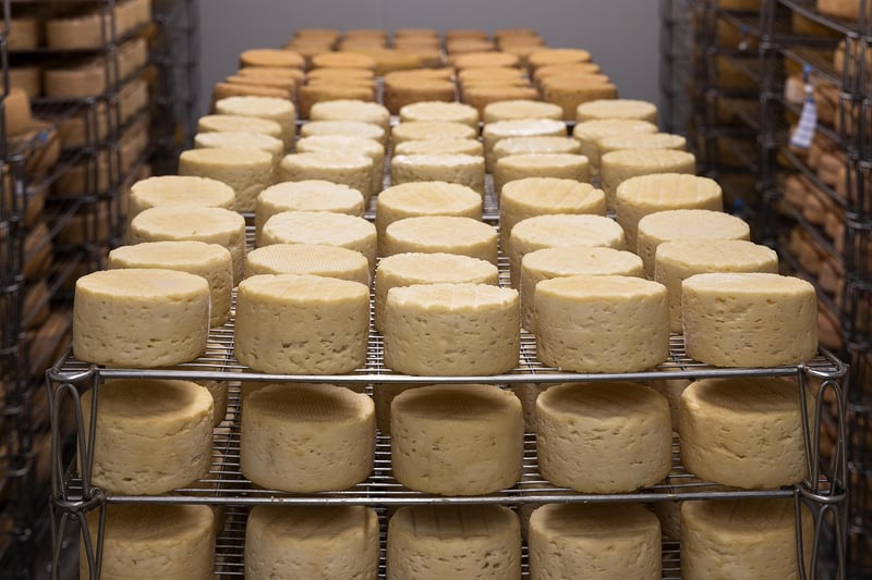 Cheese and Crackers